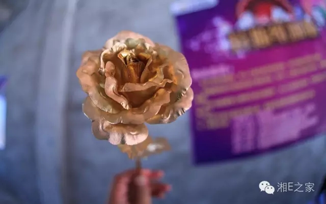 天嬌汽車文化節(jié)-一個可以吃喝玩樂的汽車節(jié)！