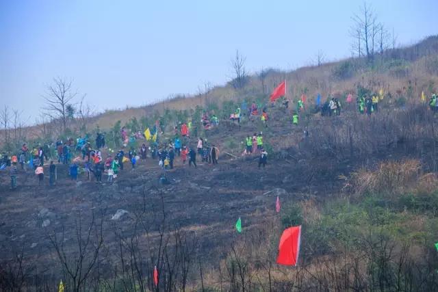 建設(shè)生態(tài)邵陽城，天嬌集團(tuán)在行動