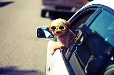 你所不知道的真相，車窗保養(yǎng)有多重要