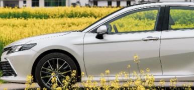 丨廣汽豐田天嬌寶慶店丨全新凱美瑞智能陪伴，將帶你馭見絕美婺源