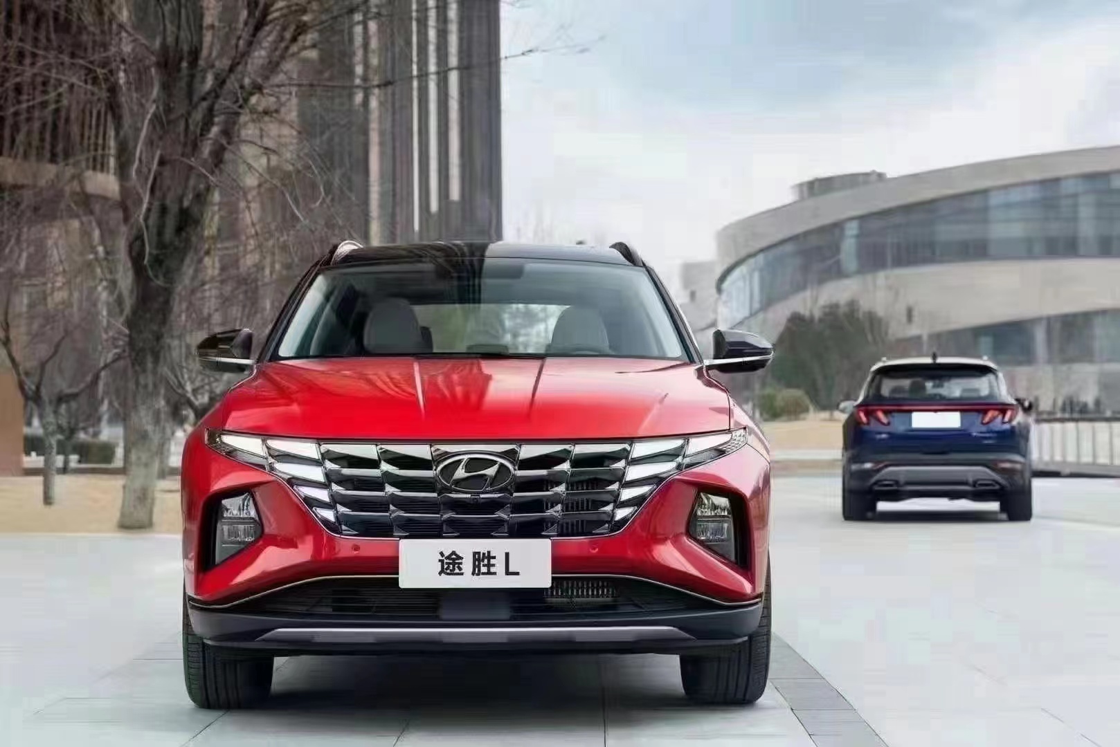 如何呵護(hù)家人，看這兒！